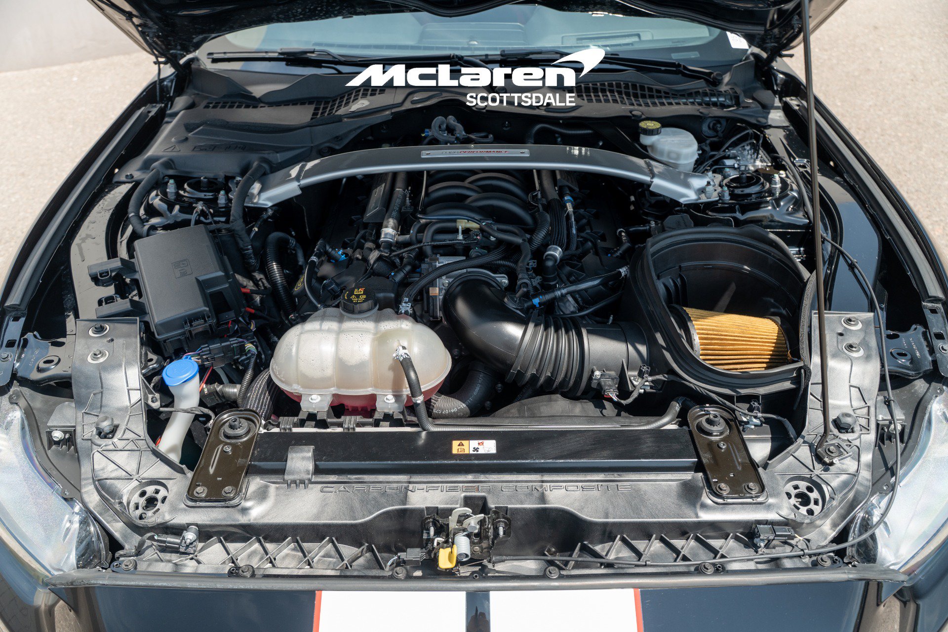 Used 2019 Ford Mustang Shelby GT350R w/ GT350R Equipment Group 920A RWD image 34