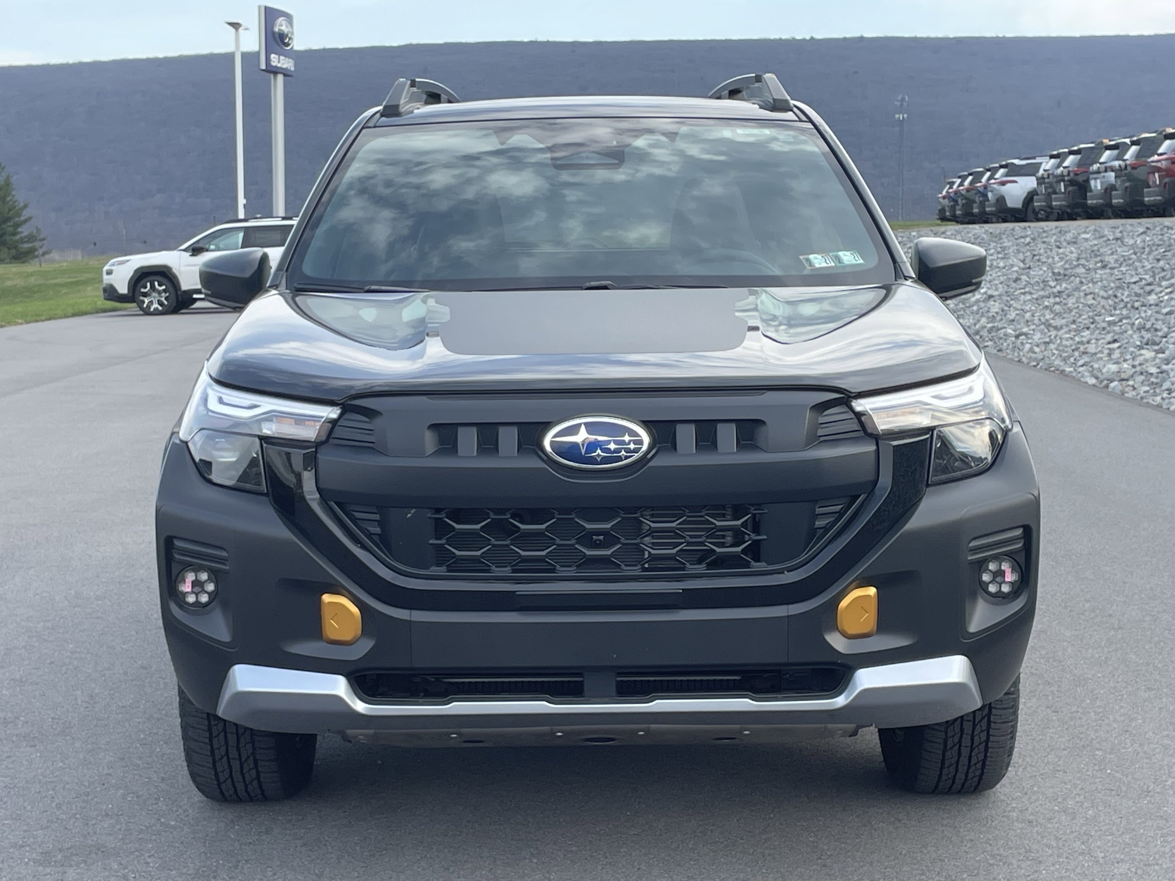 Used 2026 Subaru Forester Wilderness AWD/4WD image 6