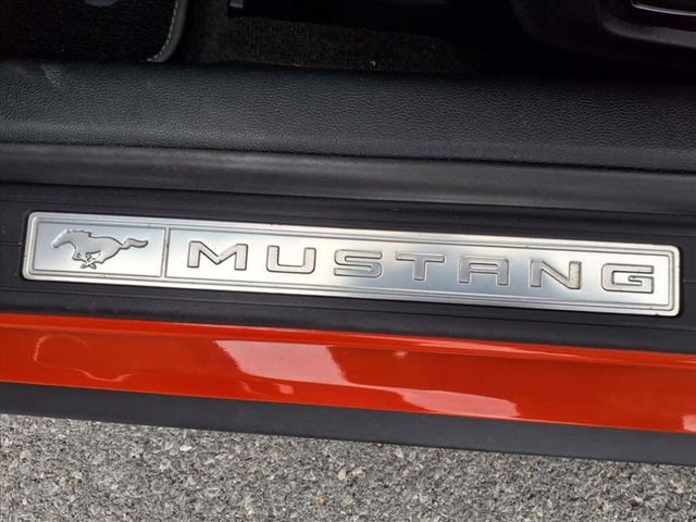 Used 2015 Ford Mustang GT Premium w/ 50 Years Appearance Package RWD image 16