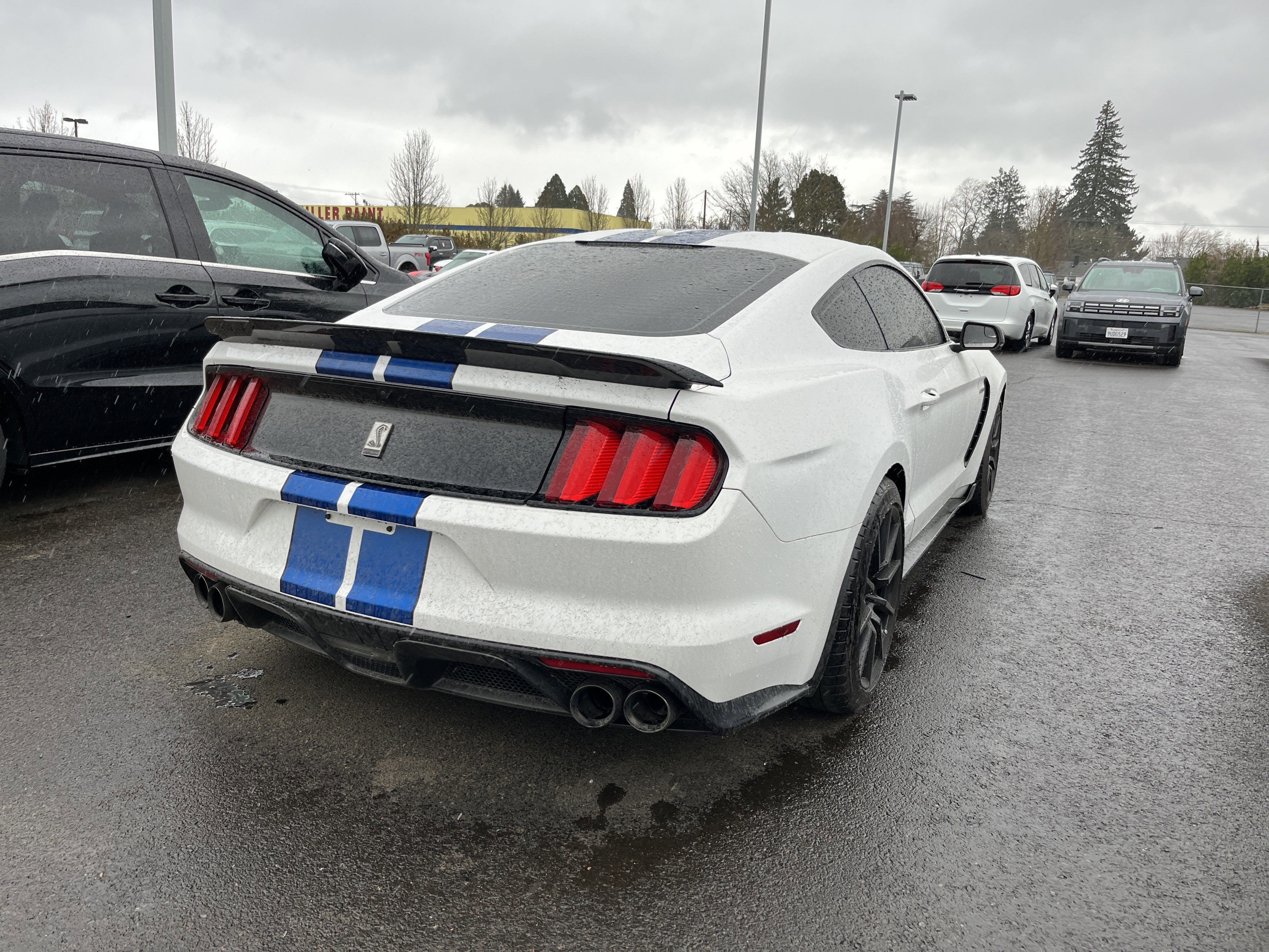 Used 2017 Ford Mustang Shelby GT350 w/ Electronics Package image 8