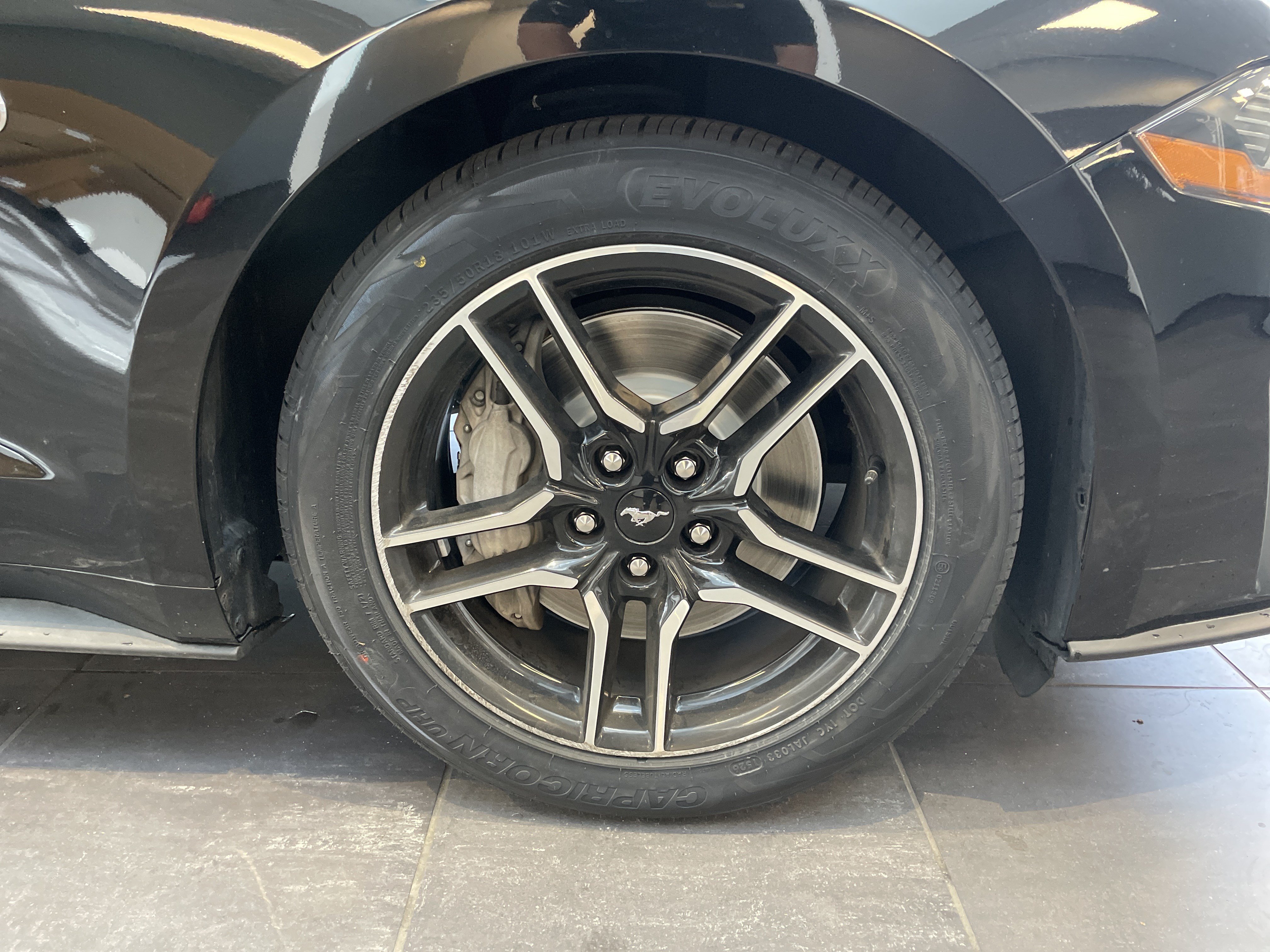 Used 2022 Ford Mustang GT Premium RWD image 14