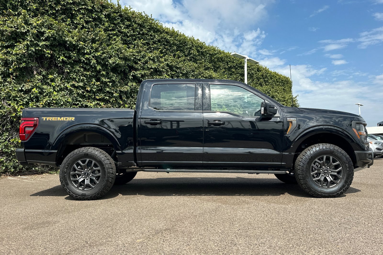 New 2025 Ford F150 Tremor w/ Equipment Group 402A High image 3