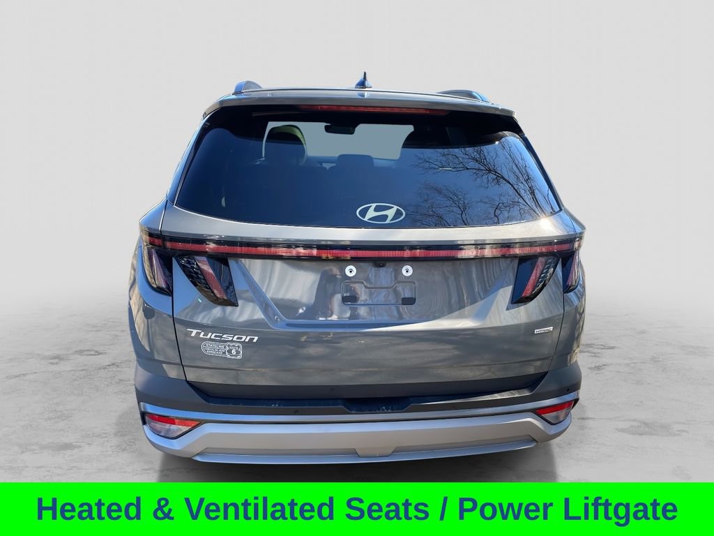 Used 2025 Hyundai Tucson Limited image 4