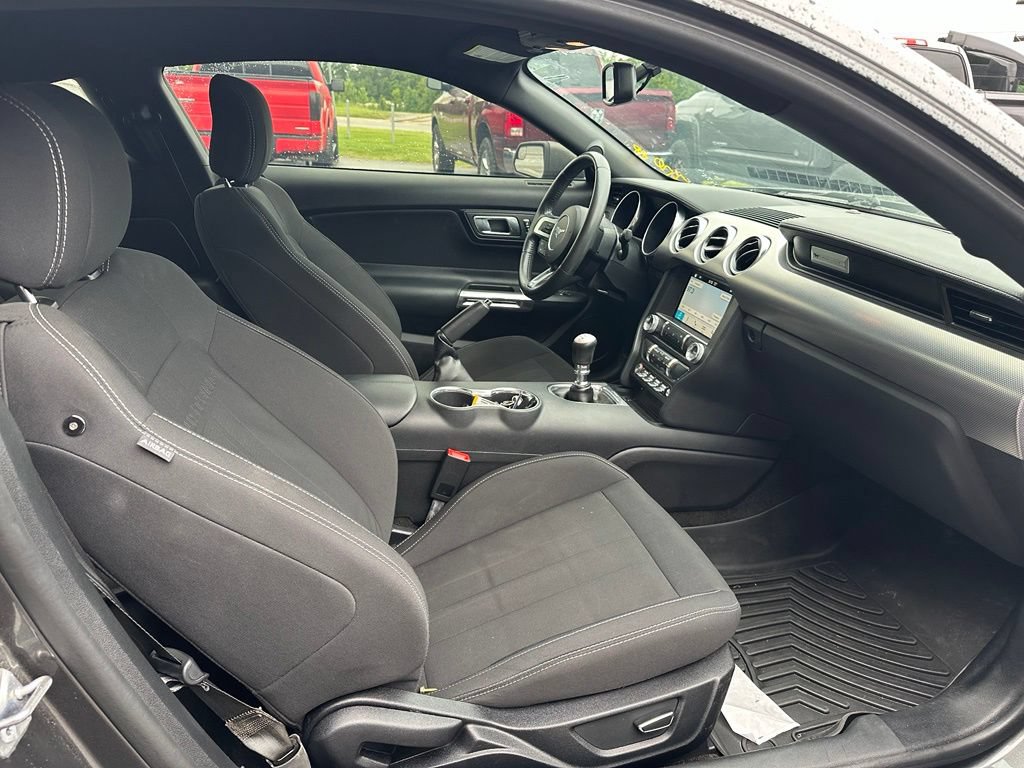 Used 2018 Ford Mustang GT w/ Equipment Group 301A RWD image 6