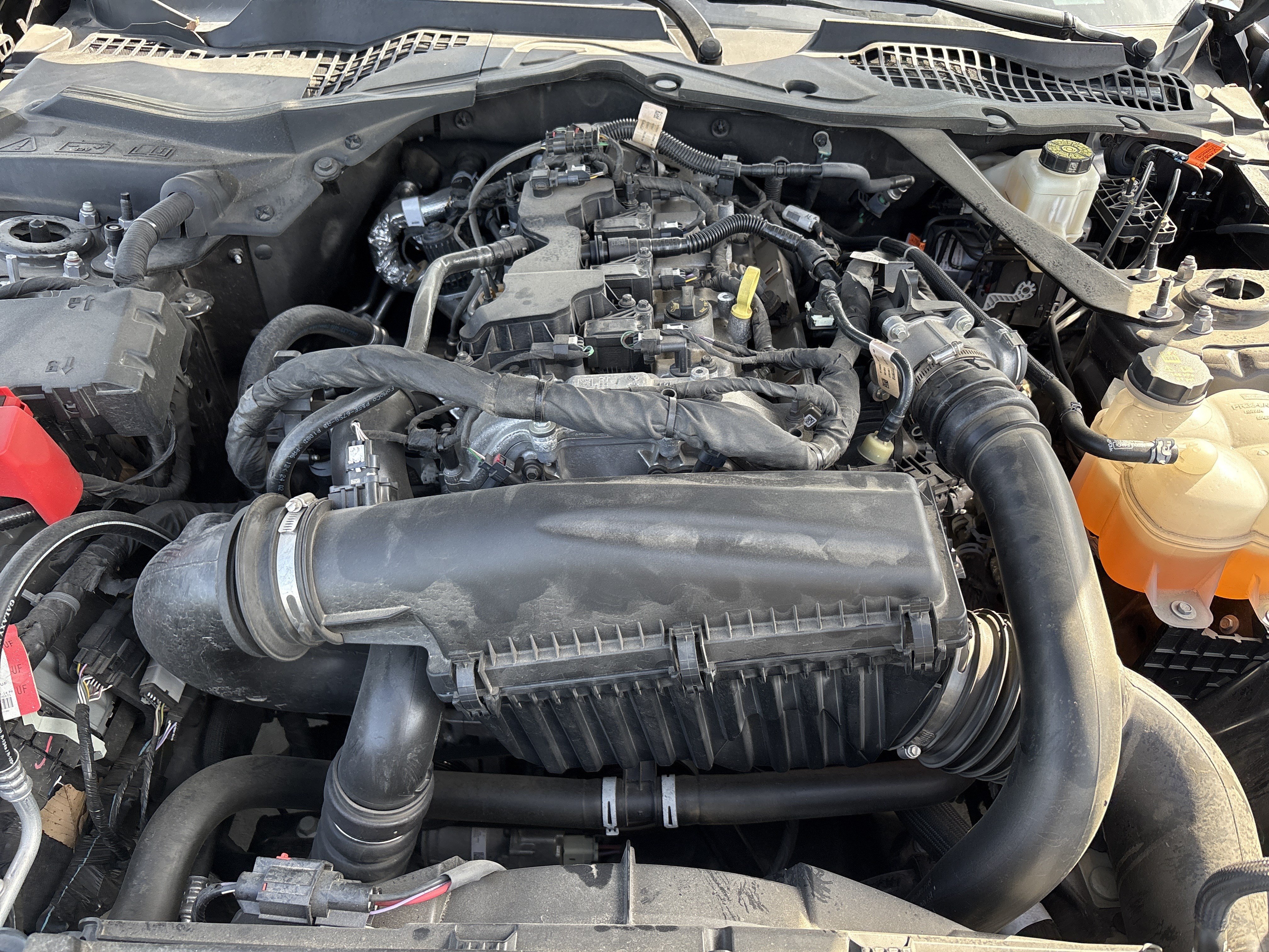Used 2024 Ford Mustang Convertible RWD image 32
