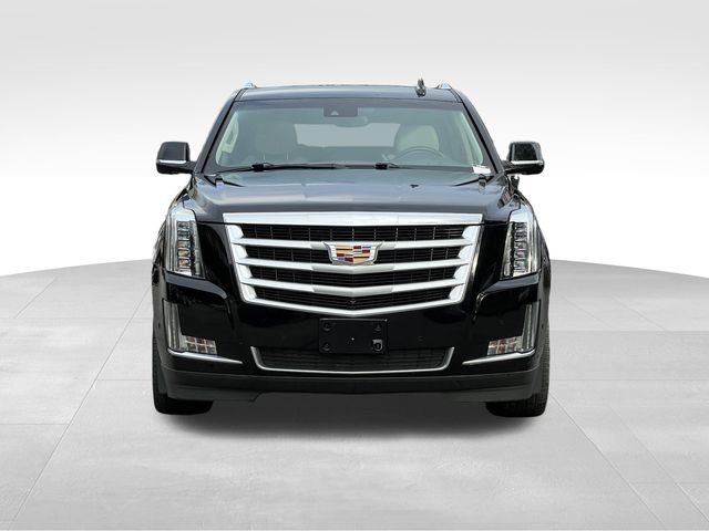 Used 2019 Cadillac Escalade ESV Luxury image 8