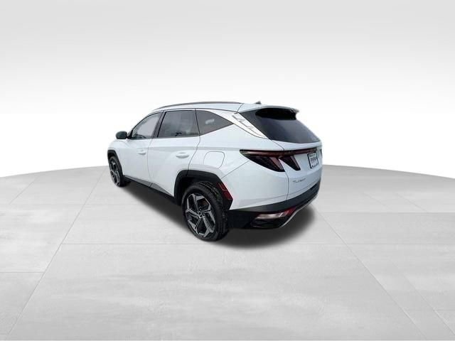 Used 2022 Hyundai Tucson Limited AWD/4WD image 11