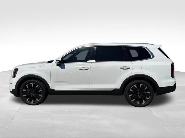 Used 2023 Kia Telluride SX Prestige AWD/4WD image 2
