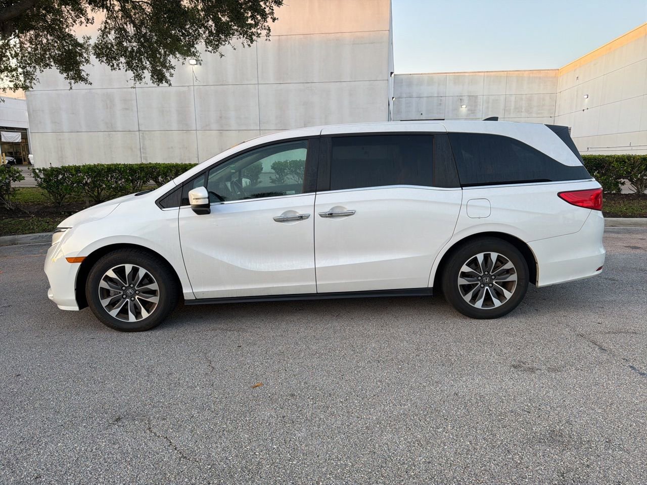Used 2023 Honda Odyssey EX-L image 2