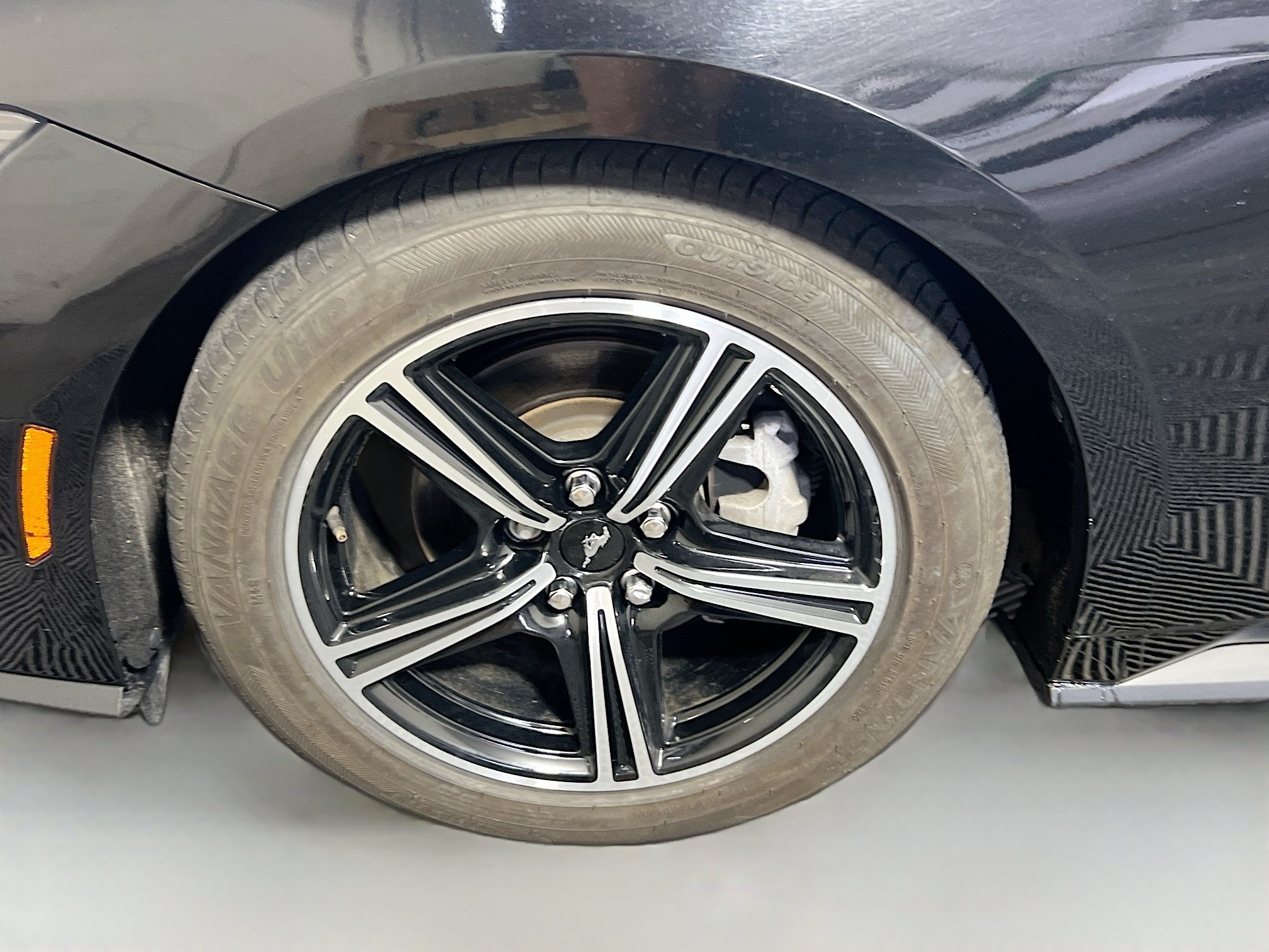 Used 2024 Ford Mustang Premium RWD image 13