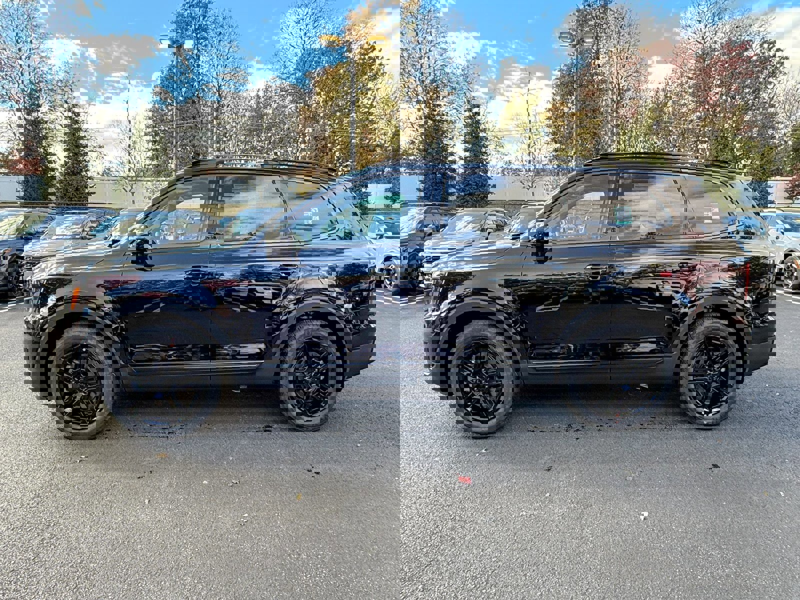 New 2025 Kia Telluride SX X-Line image 4