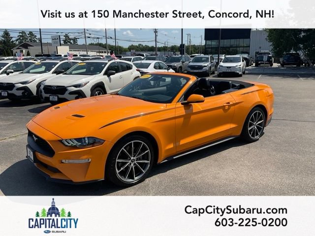 Used 2019 Ford Mustang Premium w/ Equipment Group 201A RWD image 8