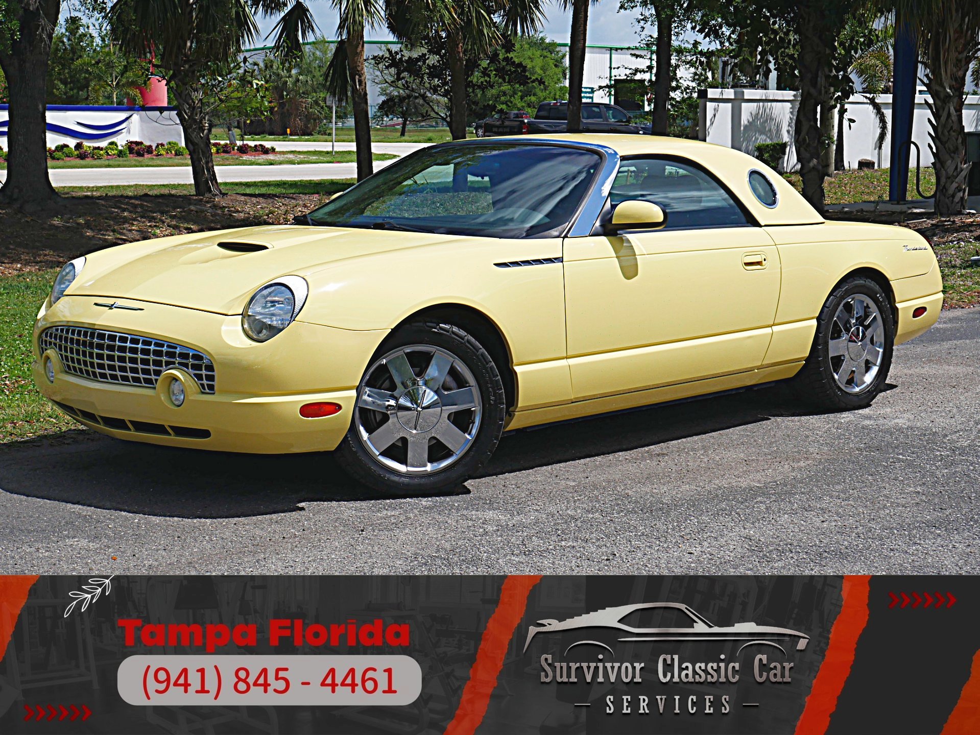 Used 2002 Ford Thunderbird RWD image 1