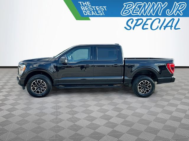 Used 2023 Ford F150 XLT w/ Equipment Group 302A High image 8