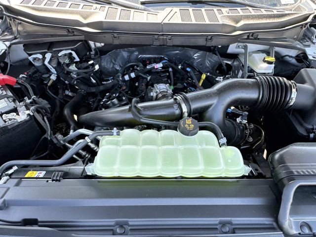 New 2026 Ford F150 XLT w/ Equipment Group 302A MID RWD image 10