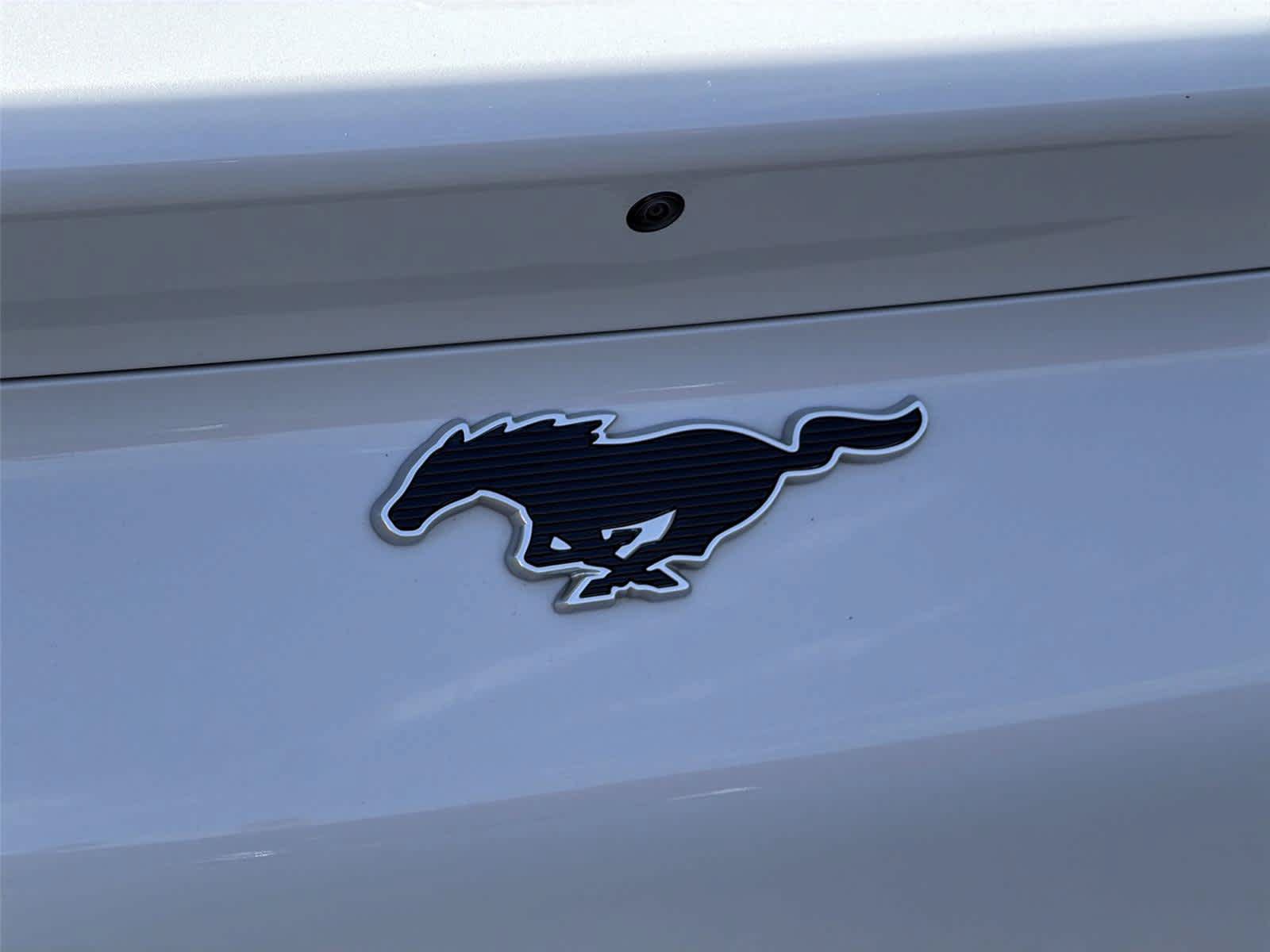 Used 2023 Ford Mustang Mach-E Select RWD image 8