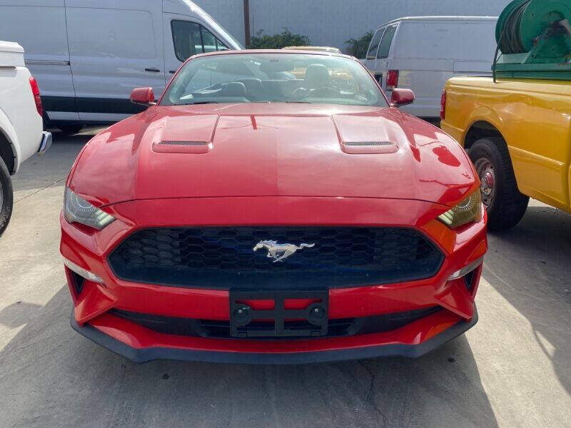 Used 2019 Ford Mustang Premium RWD image 2