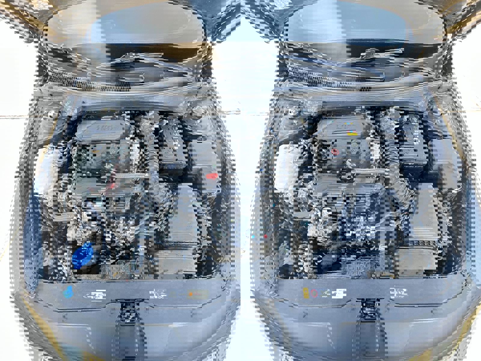 Used 2023 Hyundai Elantra N Line image 31