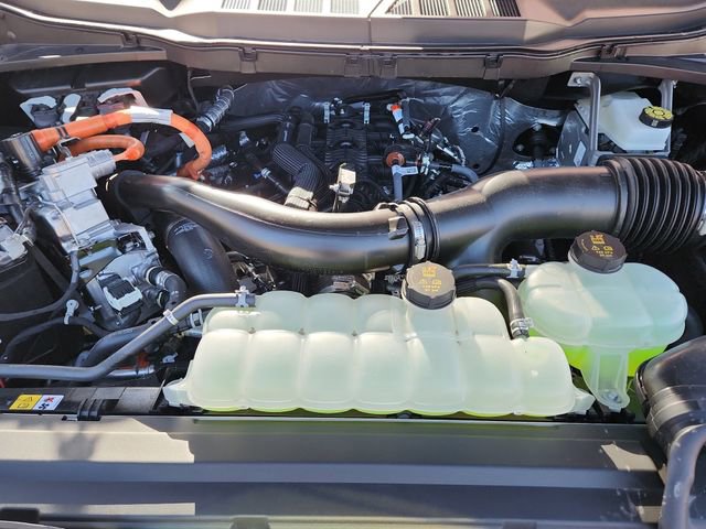 Used 2025 Ford F150 XLT w/ Equipment Group 302A MID image 12