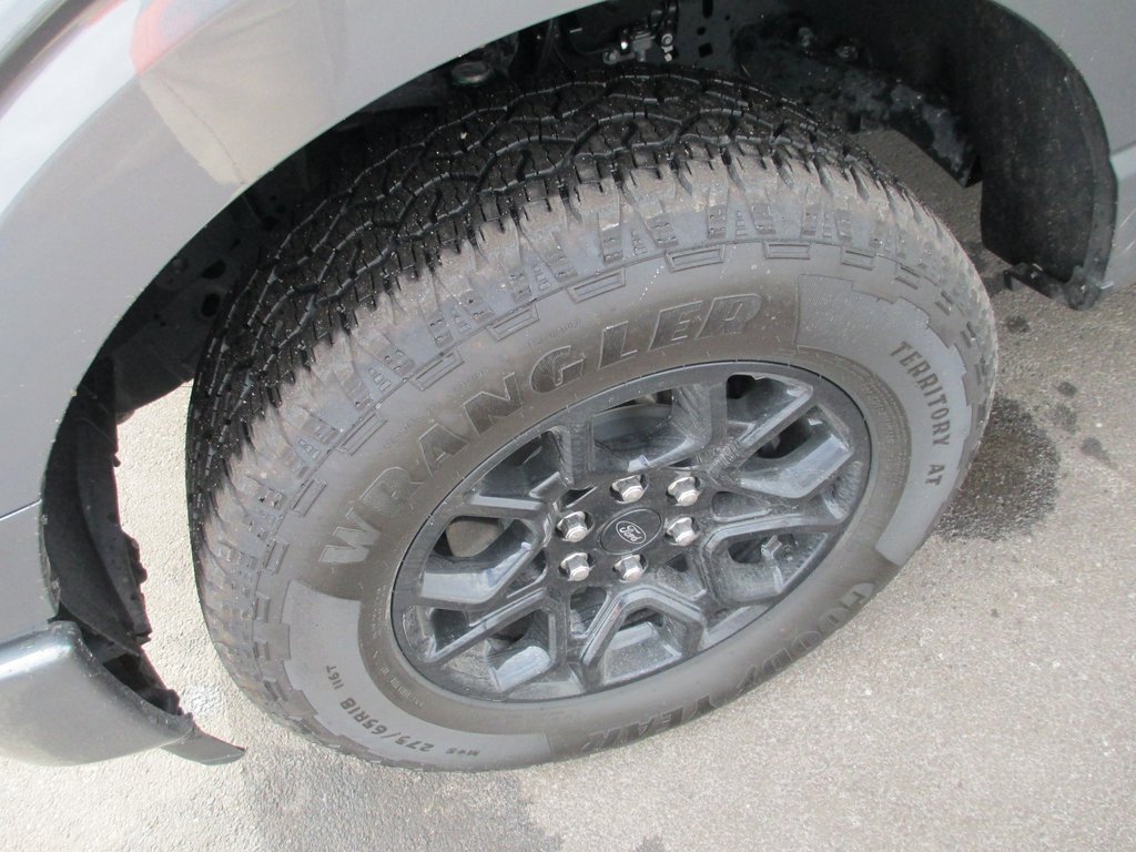 Used 2024 Ford F150 XLT w/ Equipment Group 302A MID image 11