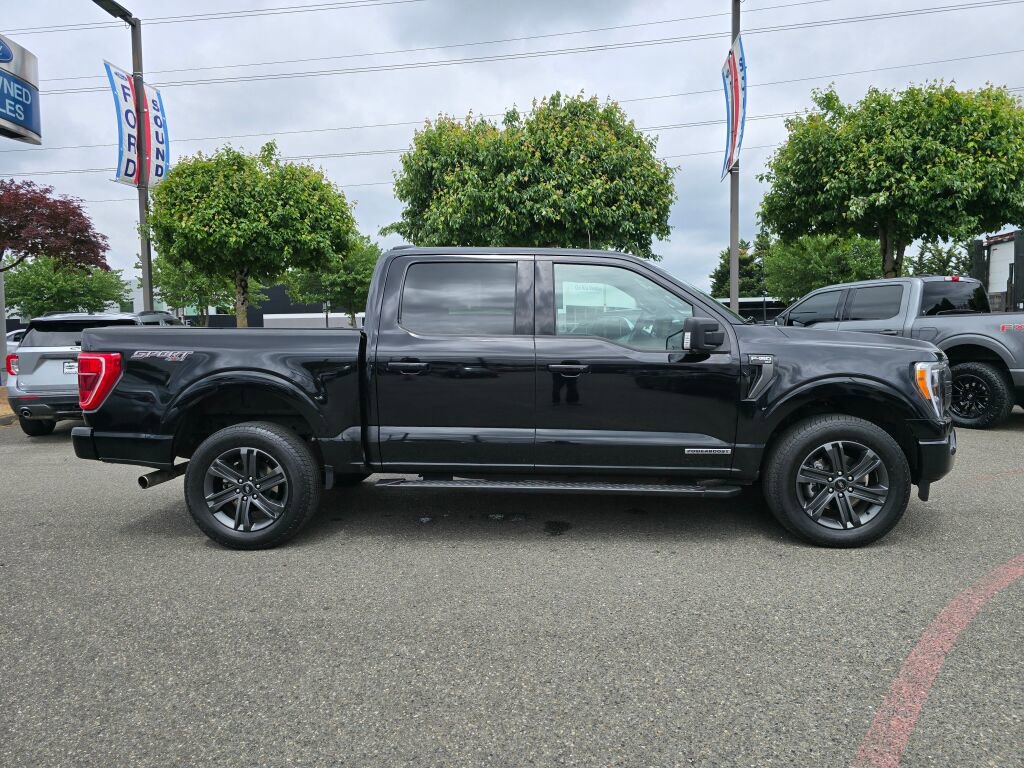 Used 2023 Ford F150 XLT w/ Equipment Group 302A High AWD/4WD image 7