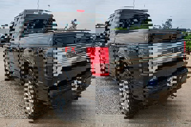 Used 2020 Ford F150 Platinum w/ Equipment Group 701A Luxury image 3