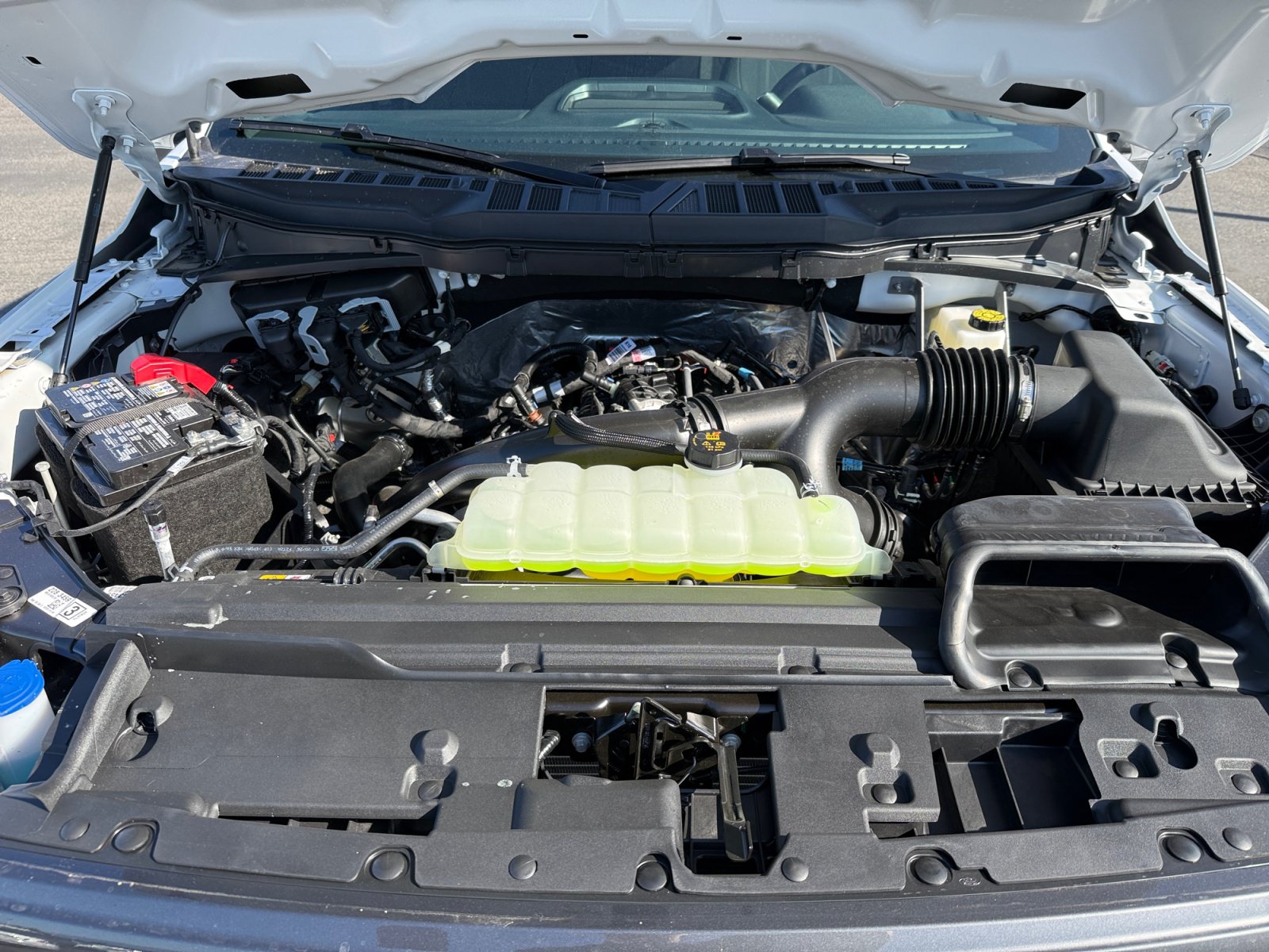 New 2026 Ford F150 STX w/ Equipment Group 200A RWD image 20