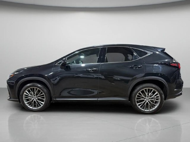 Certified 2023 Lexus NX 350h AWD w/ Vision Package image 7