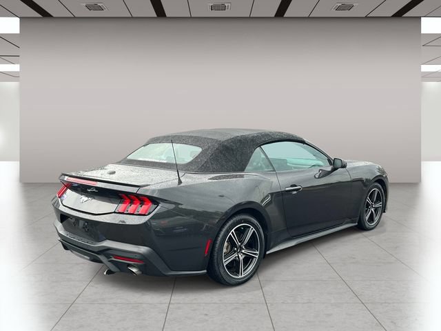 Used 2024 Ford Mustang Premium RWD image 3