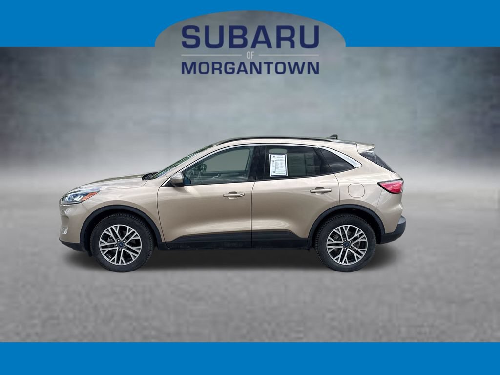Used 2021 Ford Escape SEL AWD/4WD image 1