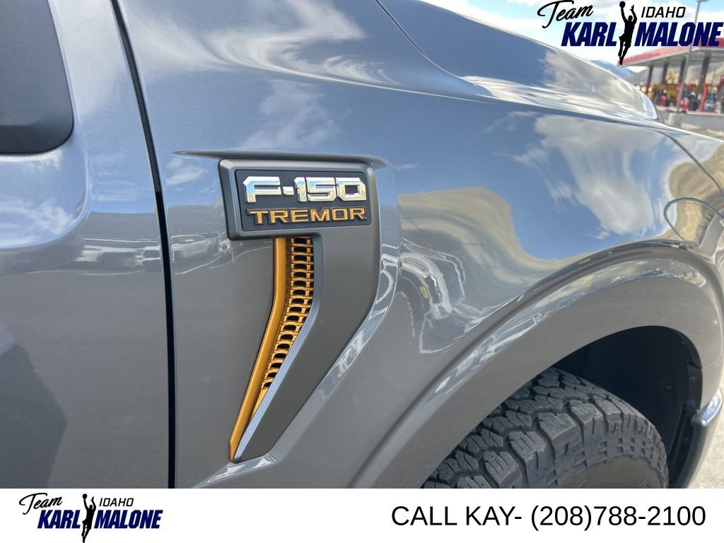 Used 2025 Ford F150 Tremor AWD/4WD image 10