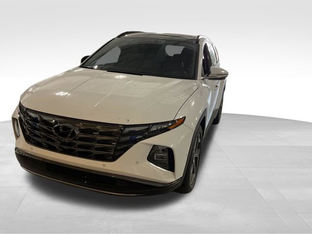 Used 2024 Hyundai Tucson Limited image 3