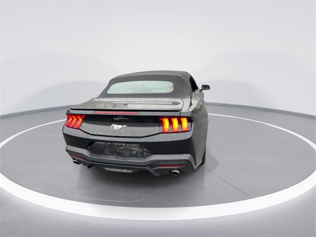 Used 2024 Ford Mustang Premium image 7