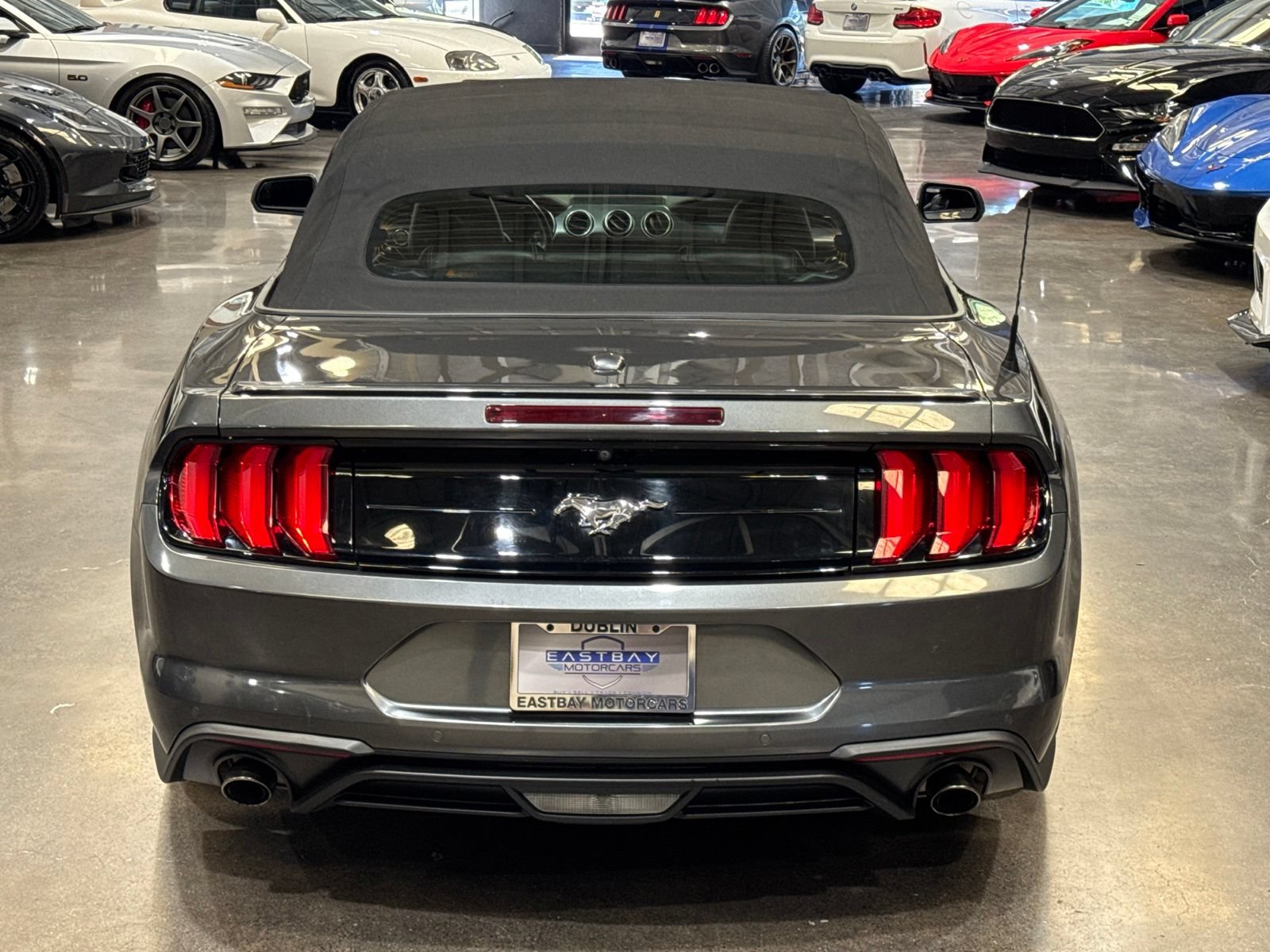Used 2019 Ford Mustang Premium w/ Equipment Group 201A RWD image 14