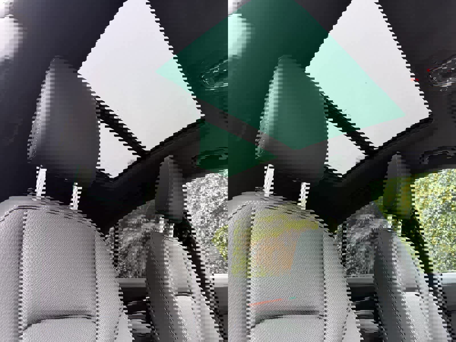 Used 2025 Audi Q8 Premium Plus w/ Premium Plus Package image 15