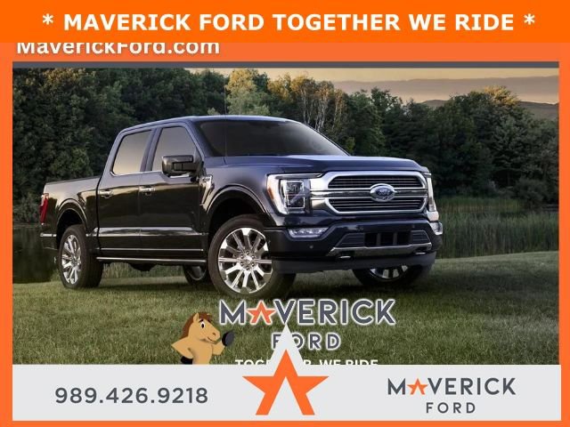 New 2026 Ford F150 XLT w/ Equipment Group 302A MID image 41