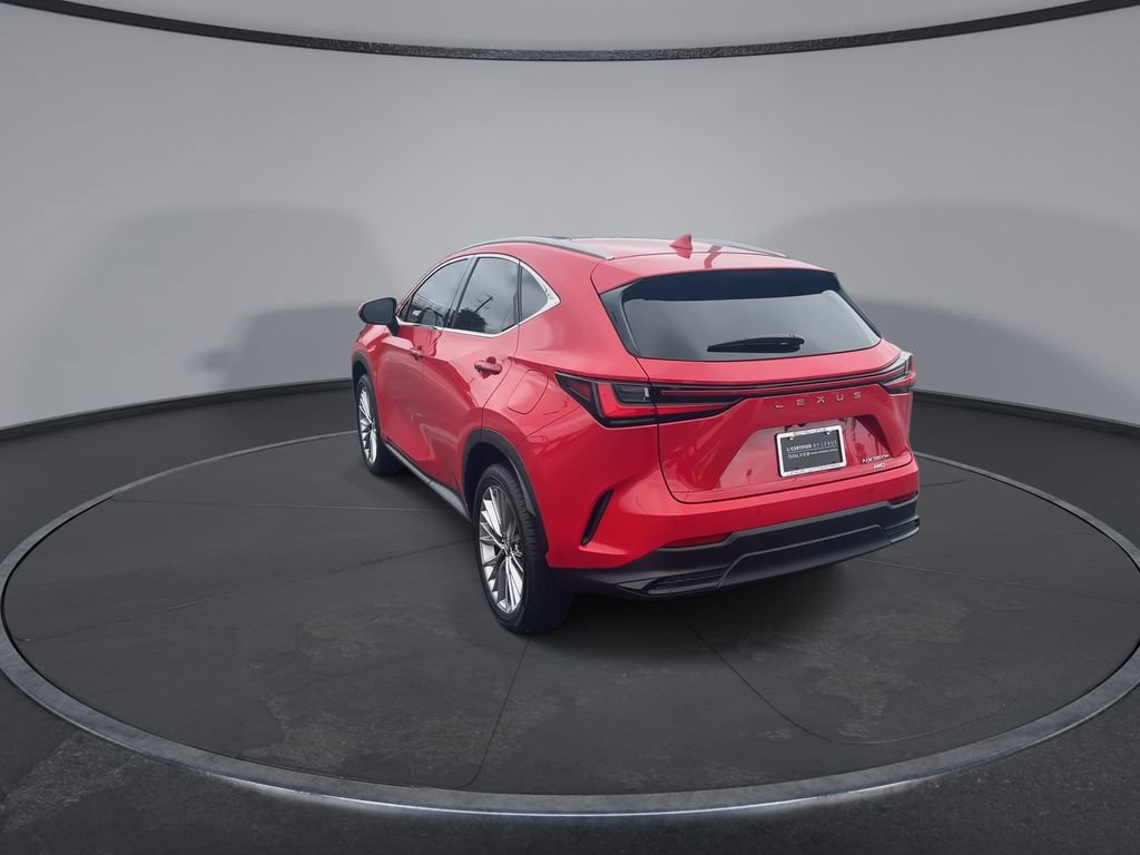 Used 2025 Lexus NX 350h AWD w/ Cold Area Package image 6