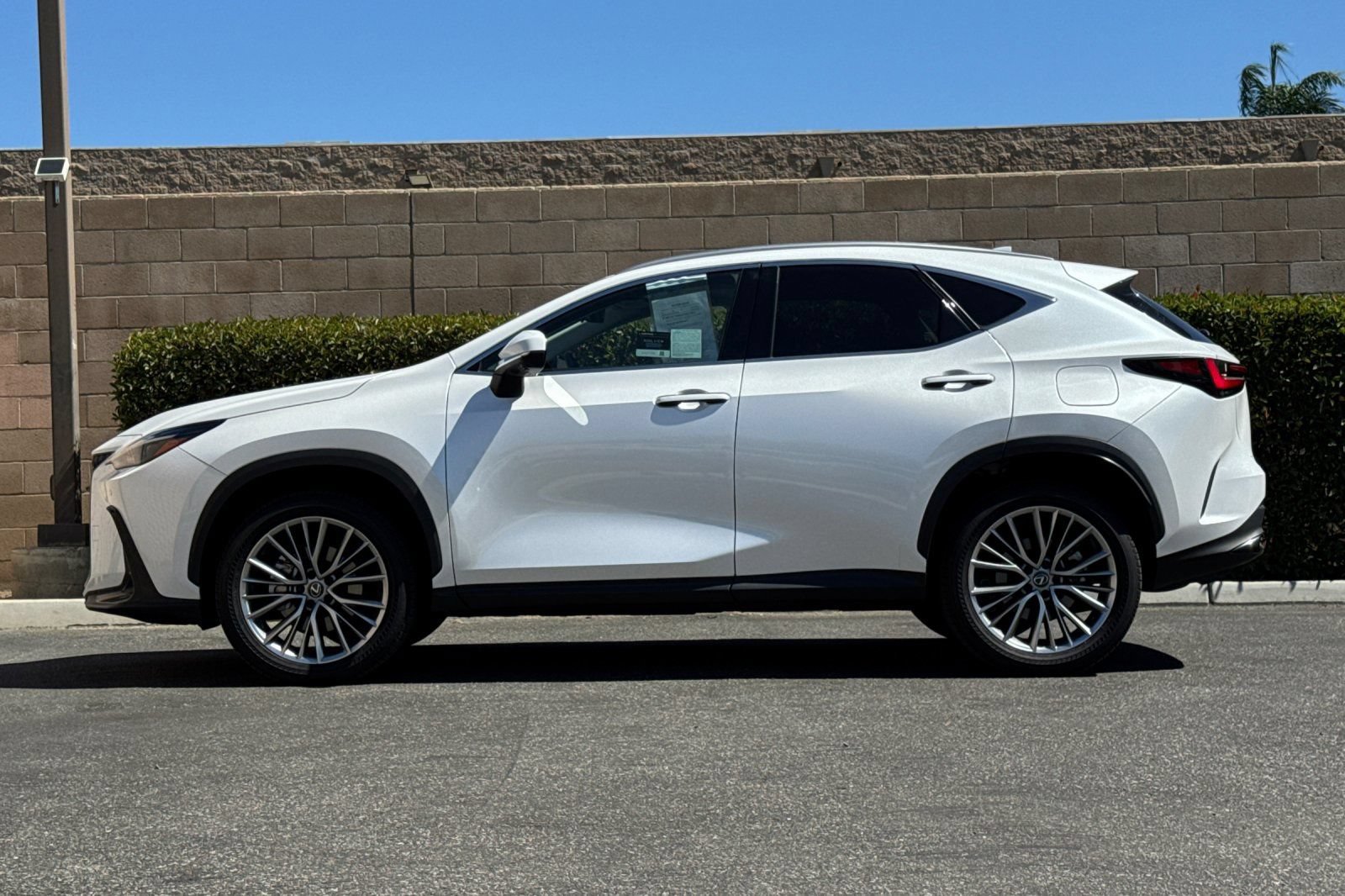 Certified 2025 Lexus NX 350h AWD w/ Cold Area Package image 7
