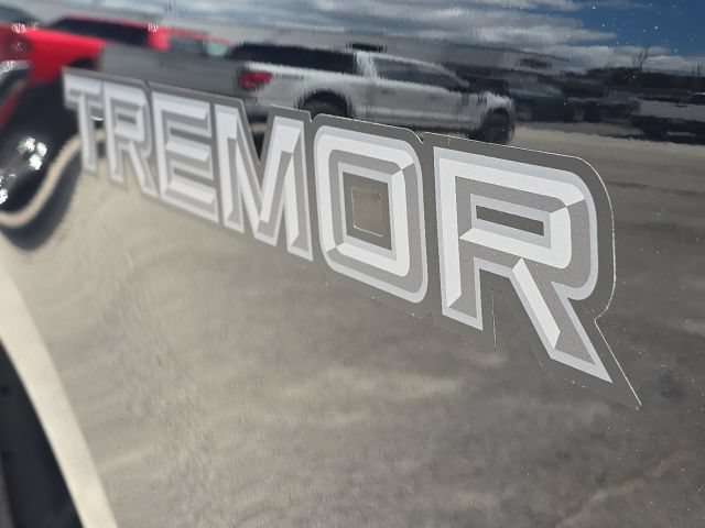 Used 2025 Ford F250 Lariat w/ Lariat Ultimate Package AWD/4WD image 11
