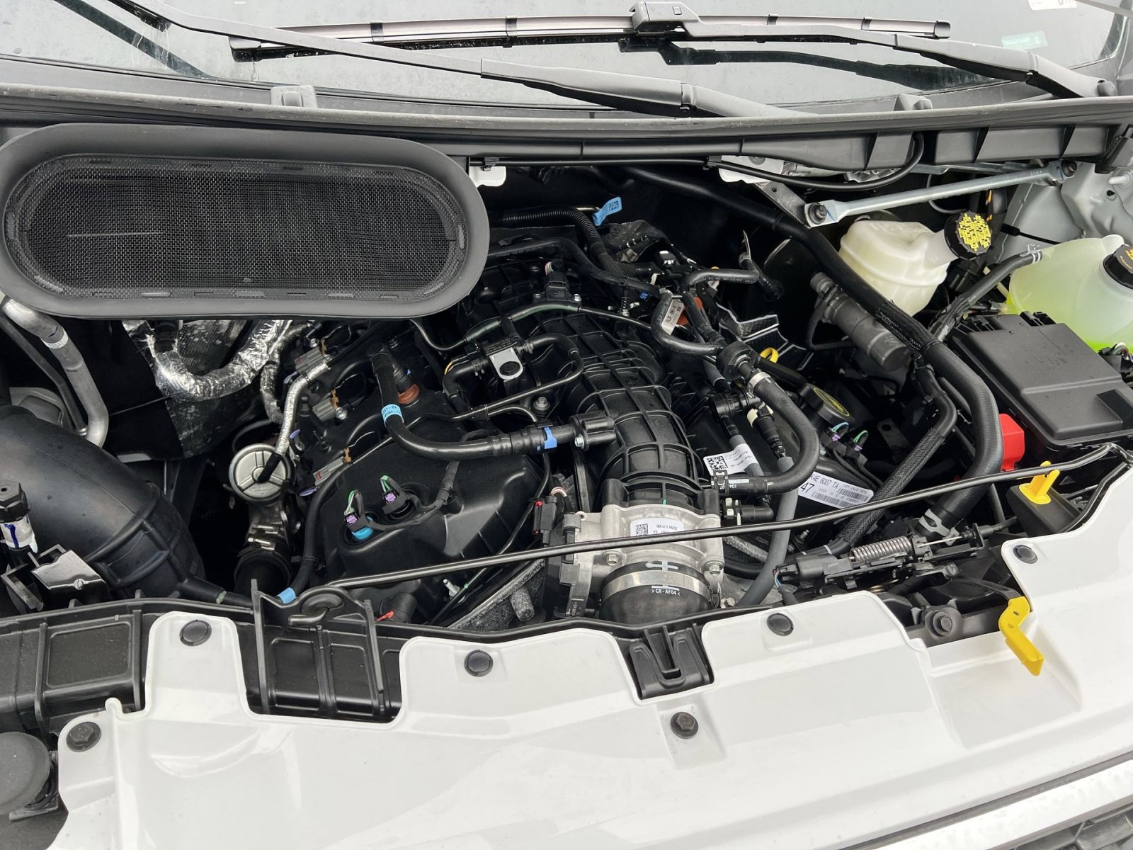 New 2026 Ford Transit 350 148 High Roof Extended w/ Load Area Protection Package RWD image 26