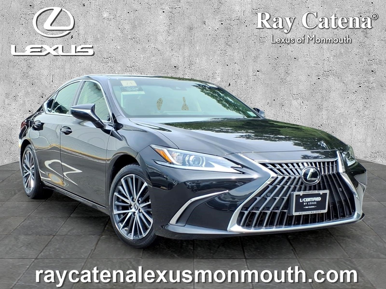 Certified 2024 Lexus ES 350 w/ Premium Package FWD video 1