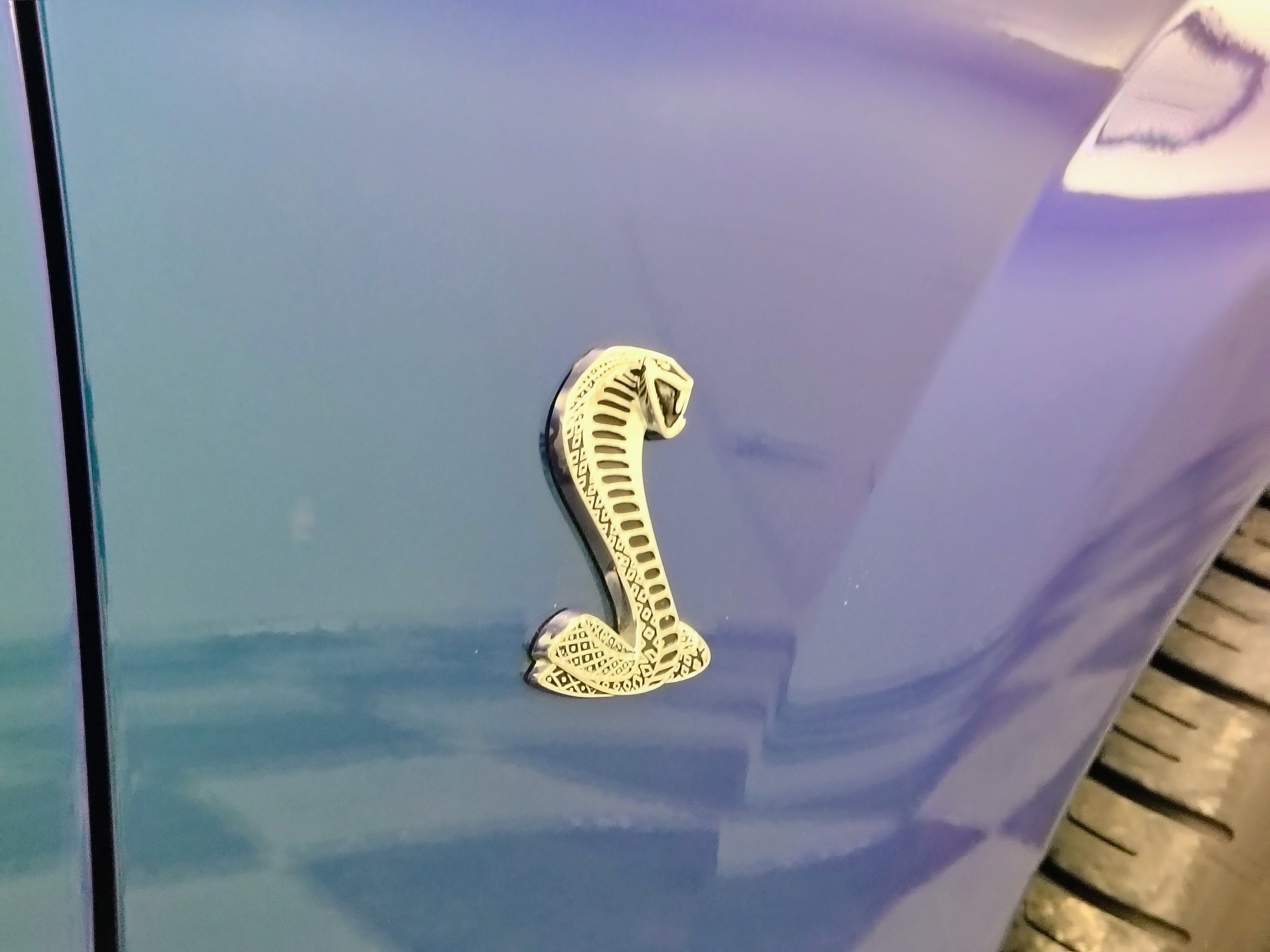 Used 2004 Ford Mustang Cobra RWD image 24