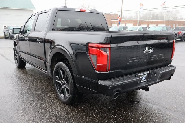 New 2025 Ford F150 STX w/ LOBO Package image 14