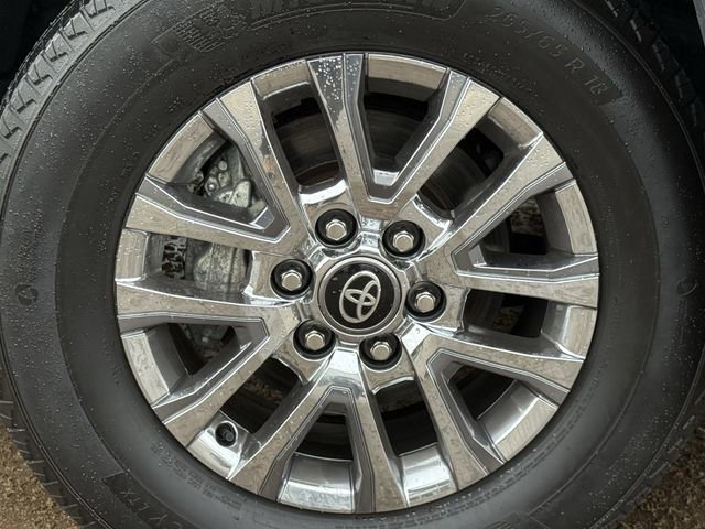 Used 2024 Toyota Tacoma Limited w/ Limited Package (LT) image 8