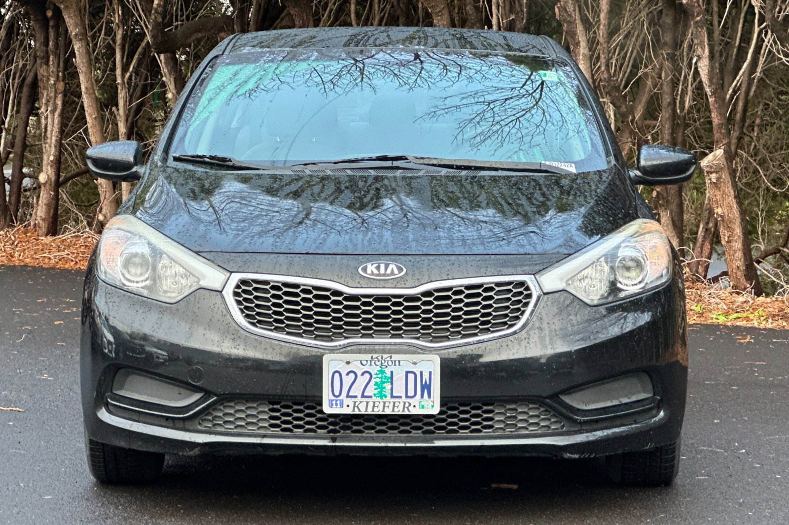 Used 2016 Kia Forte LX image 9