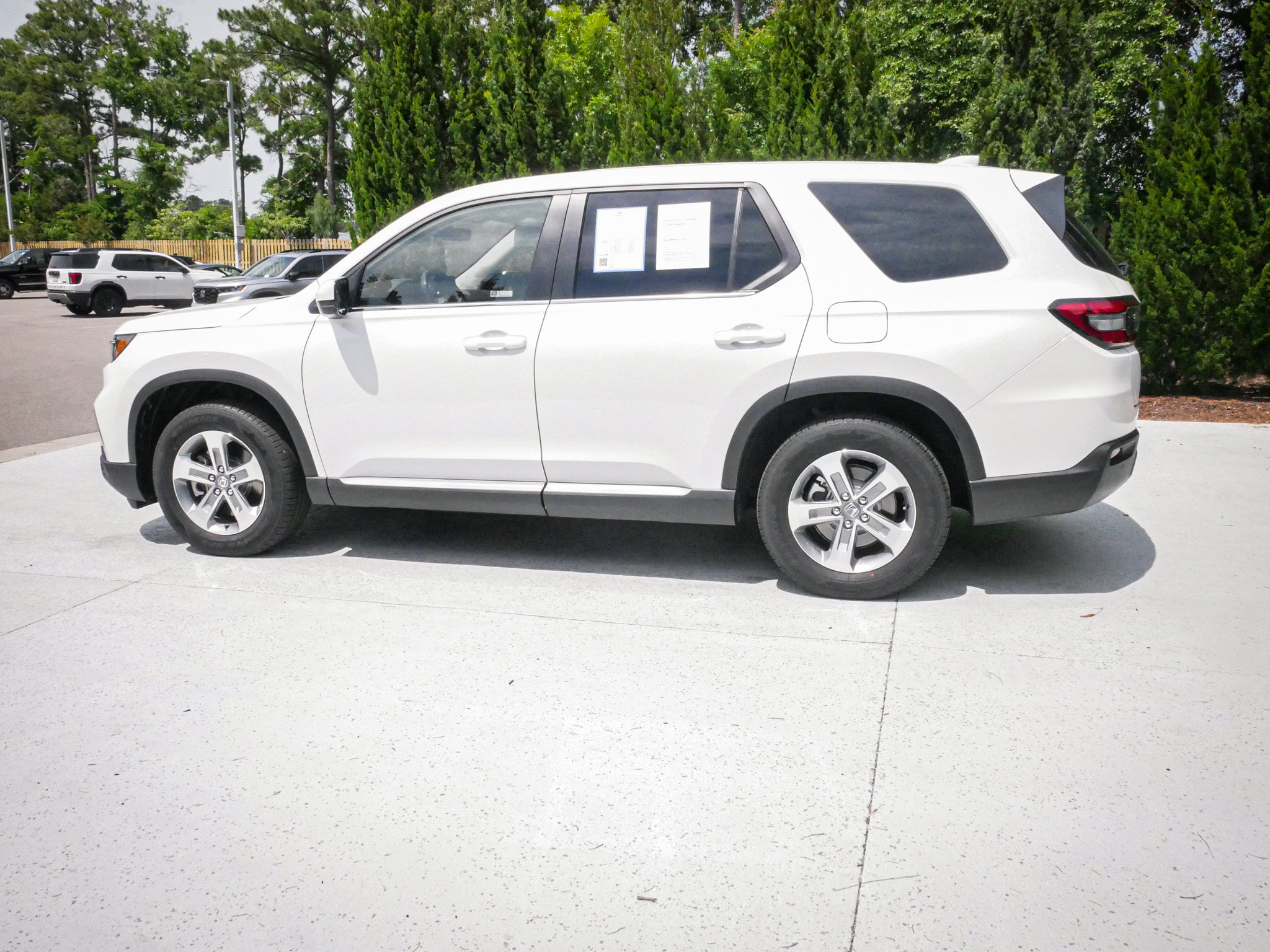 Used 2025 Honda Pilot EX-L image 7