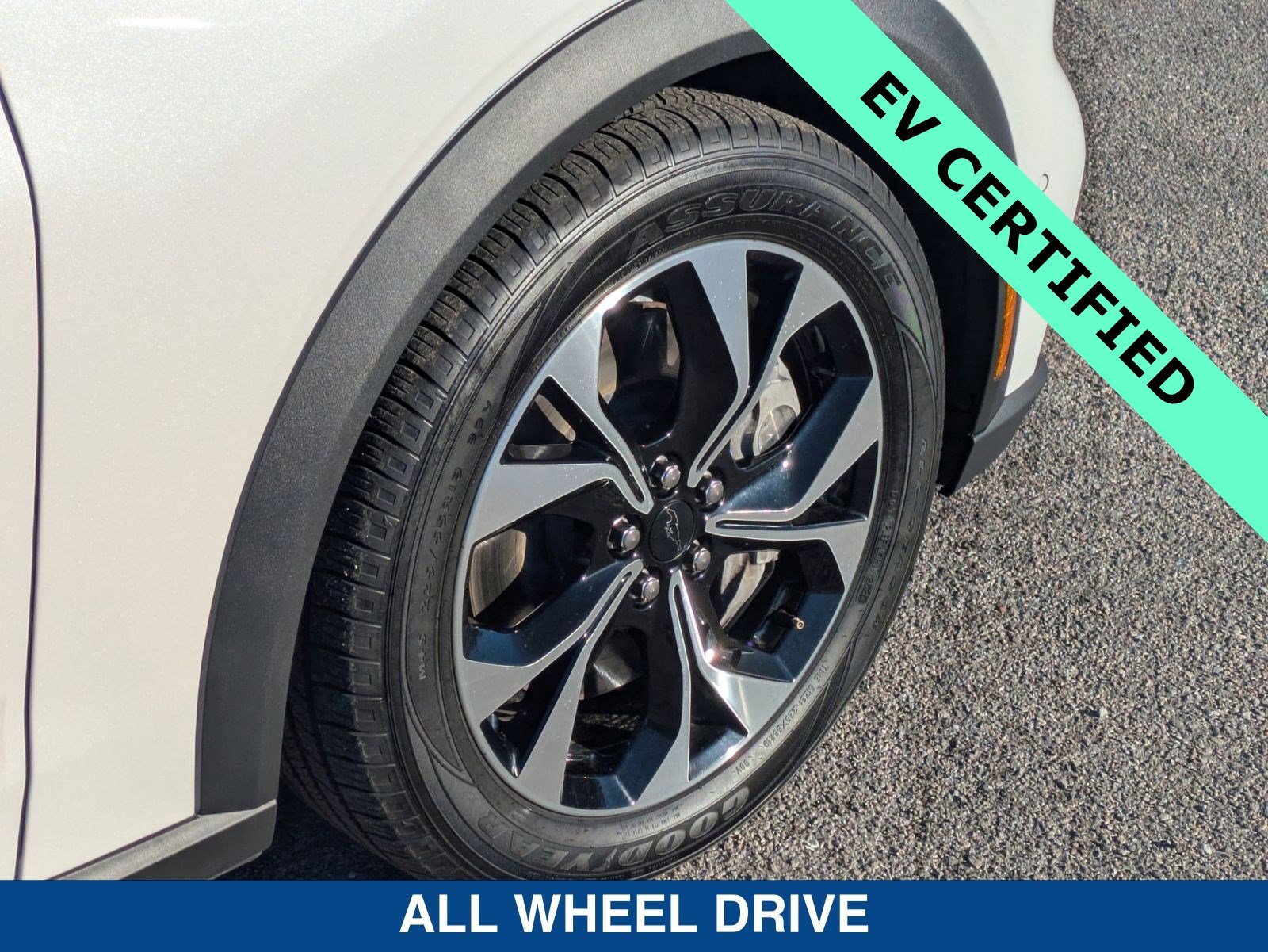 Certified 2024 Ford Mustang Mach-E Select image 12