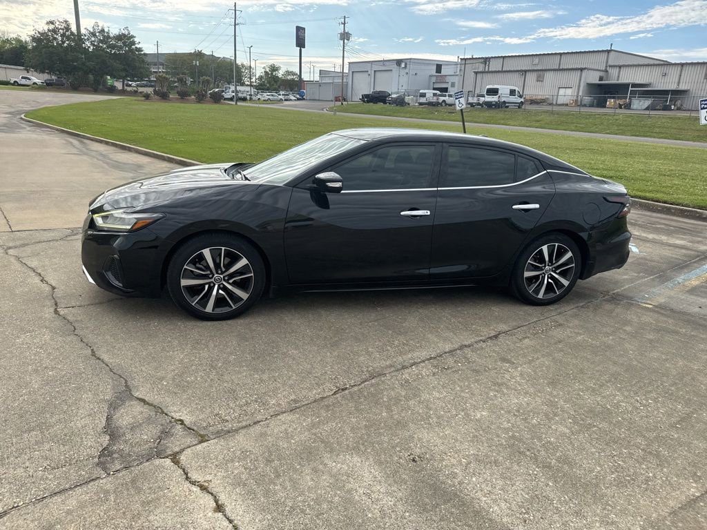 Used 2019 Nissan Maxima 3.5 SV w/ Floor Mat Group image 7