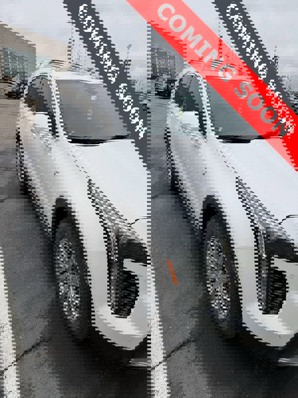 Used 2020 Cadillac XT4 Premium Luxury image 2