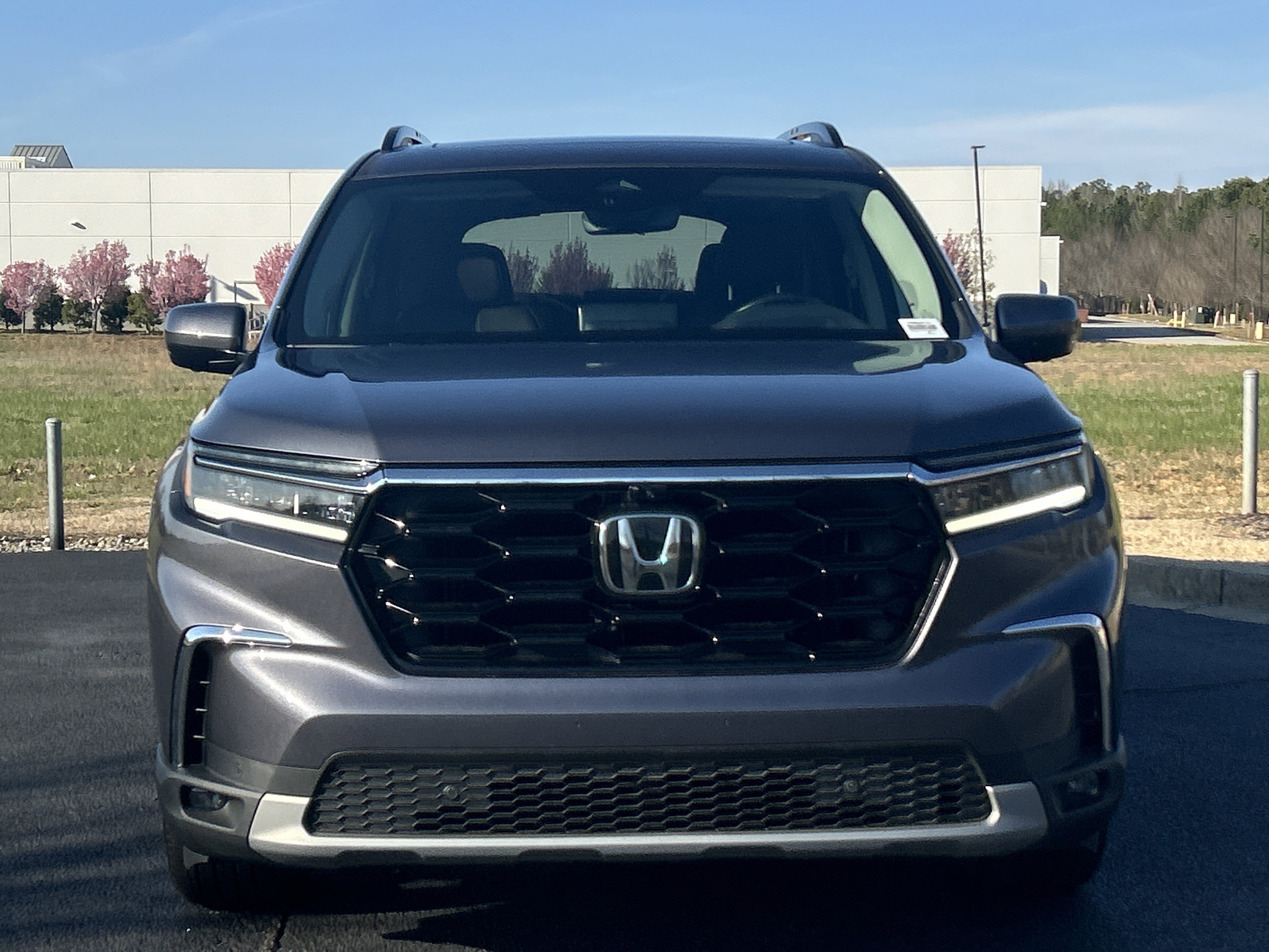 Used 2024 Honda Pilot Elite image 3